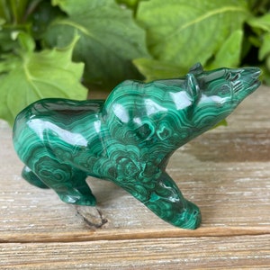 Malachite Bear(8.4 oz) - Malachite - Malachite Animal Carving - Healing Crystals and Stones - Heart Chakra