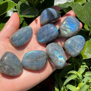 Labradorite Tumbled Stones - Labradorite - Healing Crystals and Stones