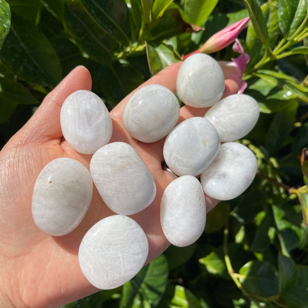 Tumbled Moonstone (1” - 1.2”）Moonstone - Healing Crystals and Stones
