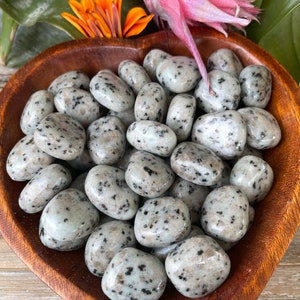 Kiwi Jasper Tumbled Stone - Sesame Jasper - Healing Crystals and Stones