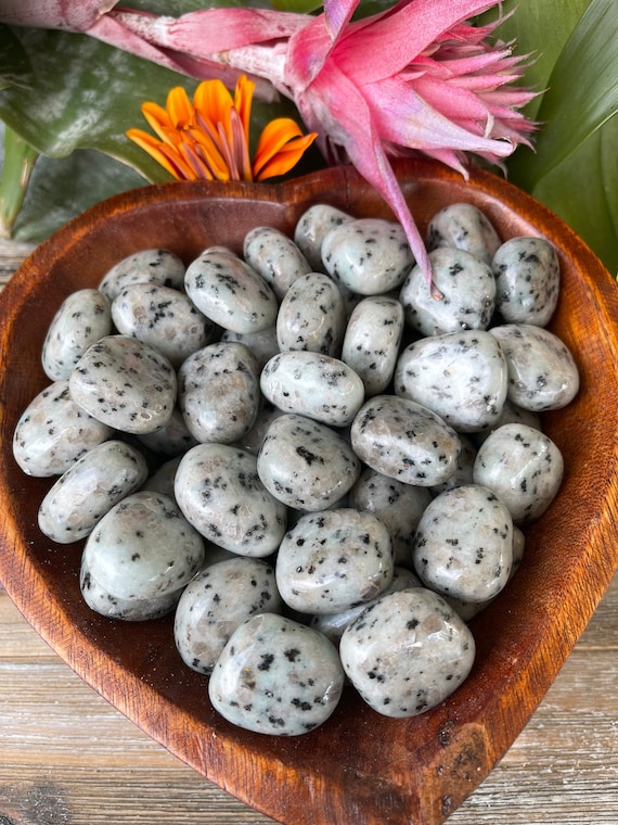 Kiwi Jasper Tumbled Stone Sesame Jasper Healing Crystals Etsy