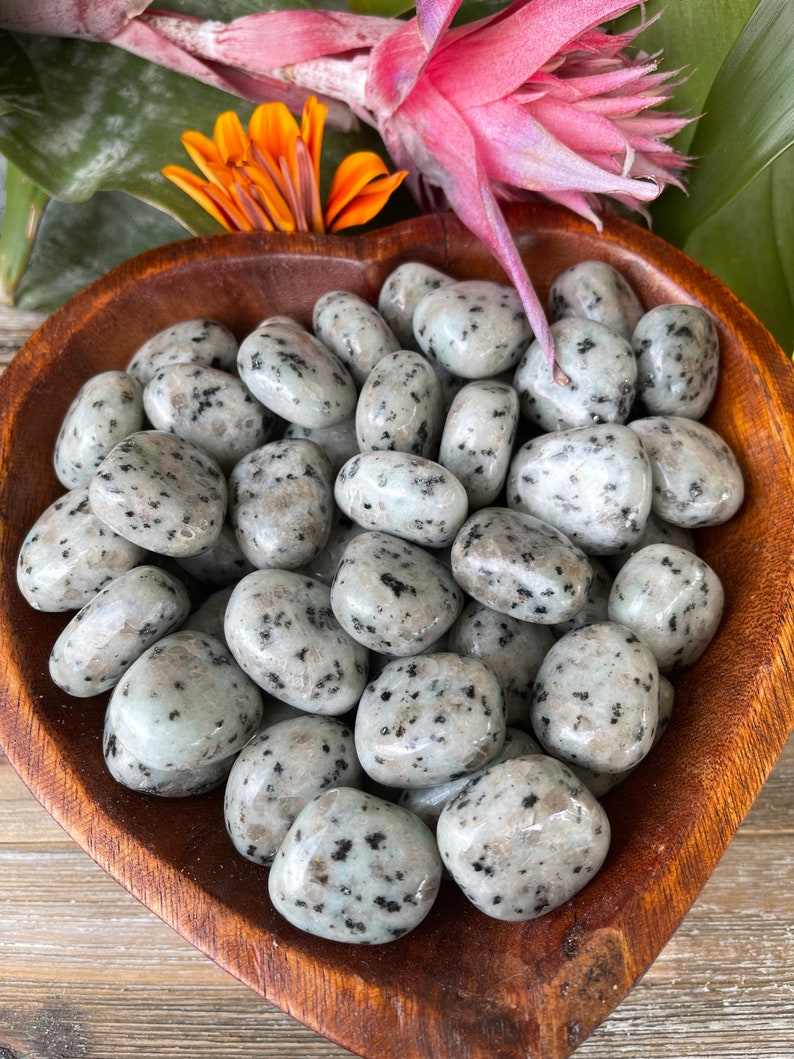 Kiwi Jasper Tumbled Stone Sesame Jasper Healing Crystals Etsy