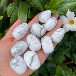 May include: A collection of ten white howlite tumbled stones with gray veining. The stones are smooth and polished, and they are arranged in a hand.
