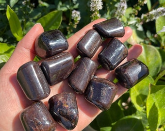 Garnet Tumbled Stones  - January Birthstone - Healing Crystals and Stones - Root Chakra