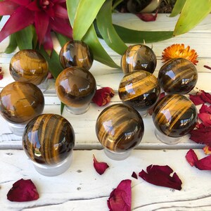 Tiger Eye Sphere (~38mm) - Healing Crystals and Stones - Solar Plexus Chakra