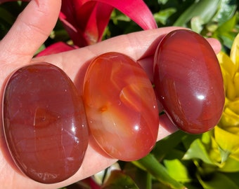 May include: Three carnelian palm stones, each with a different shade of red and orange, are held in a hand against a green leafy background.