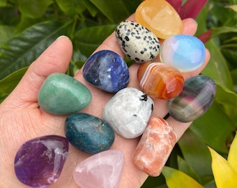 Crystal Starter Kit: 12-Piece Healing Stone Collection
