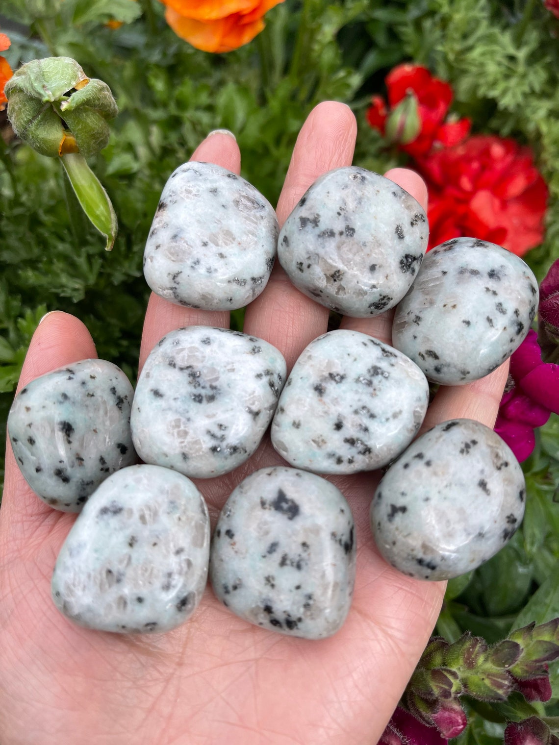 Kiwi Jasper Tumbled Stone Sesame Jasper Healing Crystals Etsy