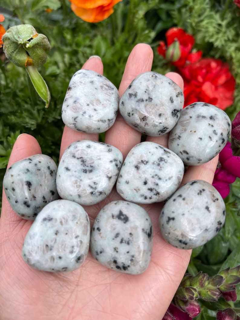Kiwi Jasper Tumbled Stone Sesame Jasper Healing Crystals Etsy