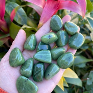 1 OZ Nephrite Jade Tumbled Stones - Nephrite Jade - Healing Crystal and Stone - Heart Chakra