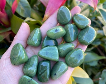 1 OZ Nephrite Jade Tumbled Stones - Nephrite Jade - Healing Crystal and Stone - Heart Chakra