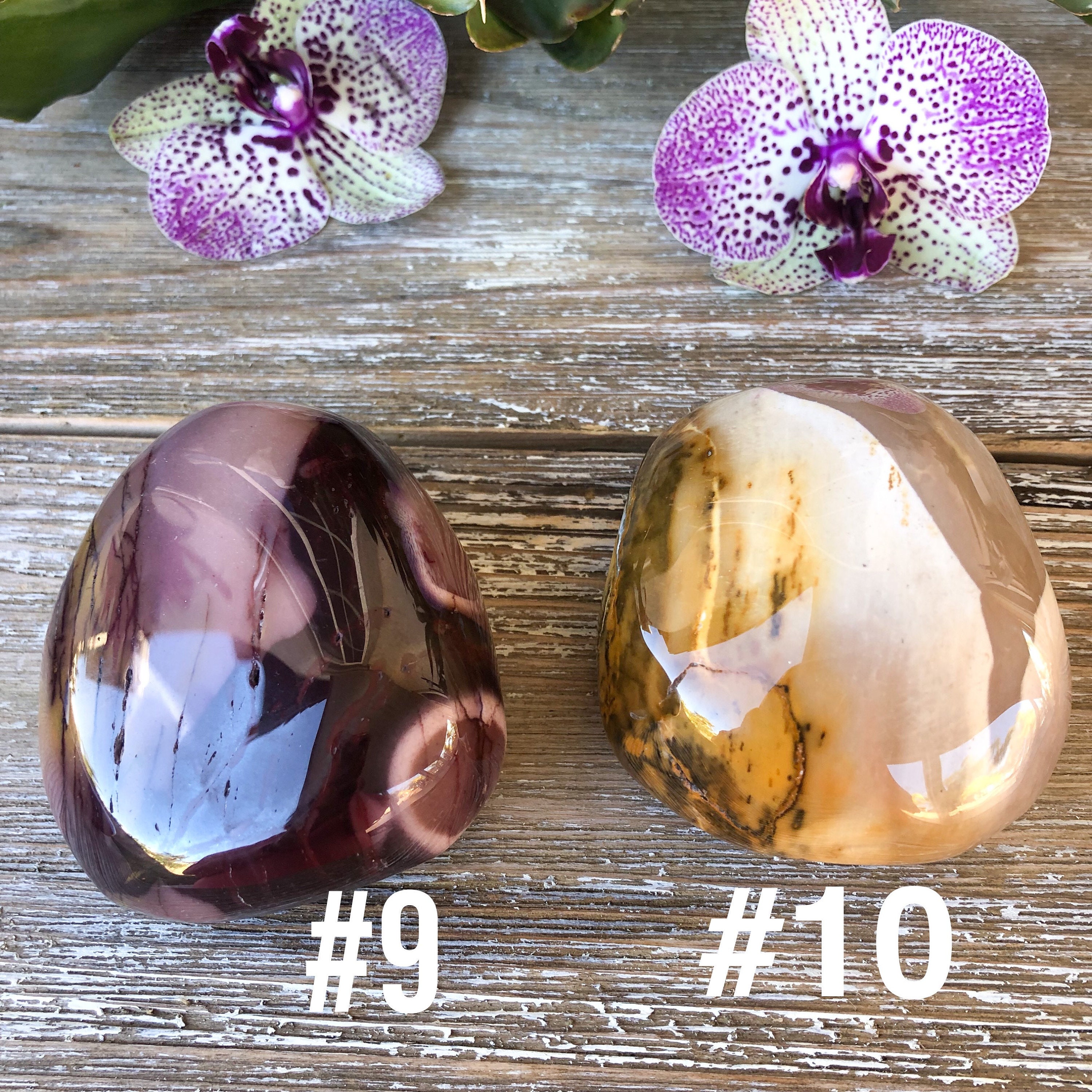 希少　♡Mookaite Jasper　ムーカイト♡　風景画　枝葉　2個セット 濃い赤と辛子色のコンビネーションが美しい！西オーストラリア