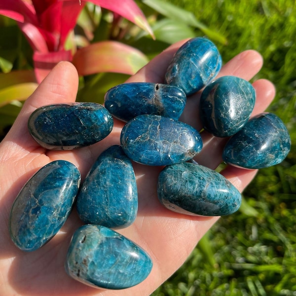 Blue Apatite Tumbled Stone (1") - Apatite - Healing Crystals and Stones - Throat Chakra