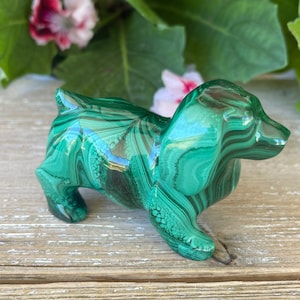Malachite Dog(8.1 oz) - Malachite Animal Carving - Healing Crystals and Stones - Heart Chakra