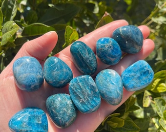 May include: A collection of ten tumbled blue apatite stones. The stones are smooth and have a light blue color with white streaks.