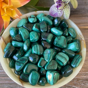 1 OZ Malachite Tumbled Stones - High Quality Malachite - Healing Crystals and Stones - Heart Chakra