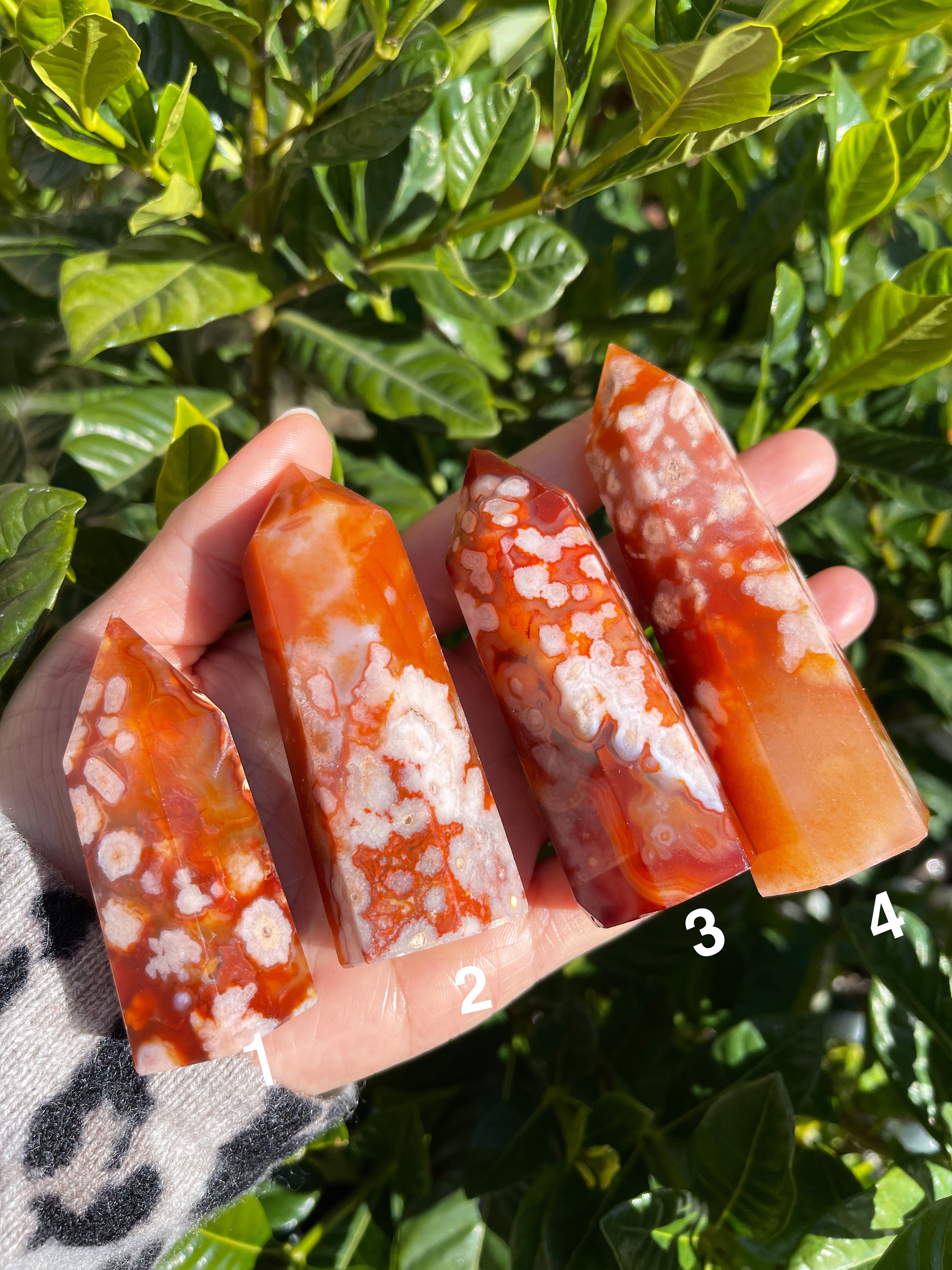Carnelian Flower Agate - Etsy