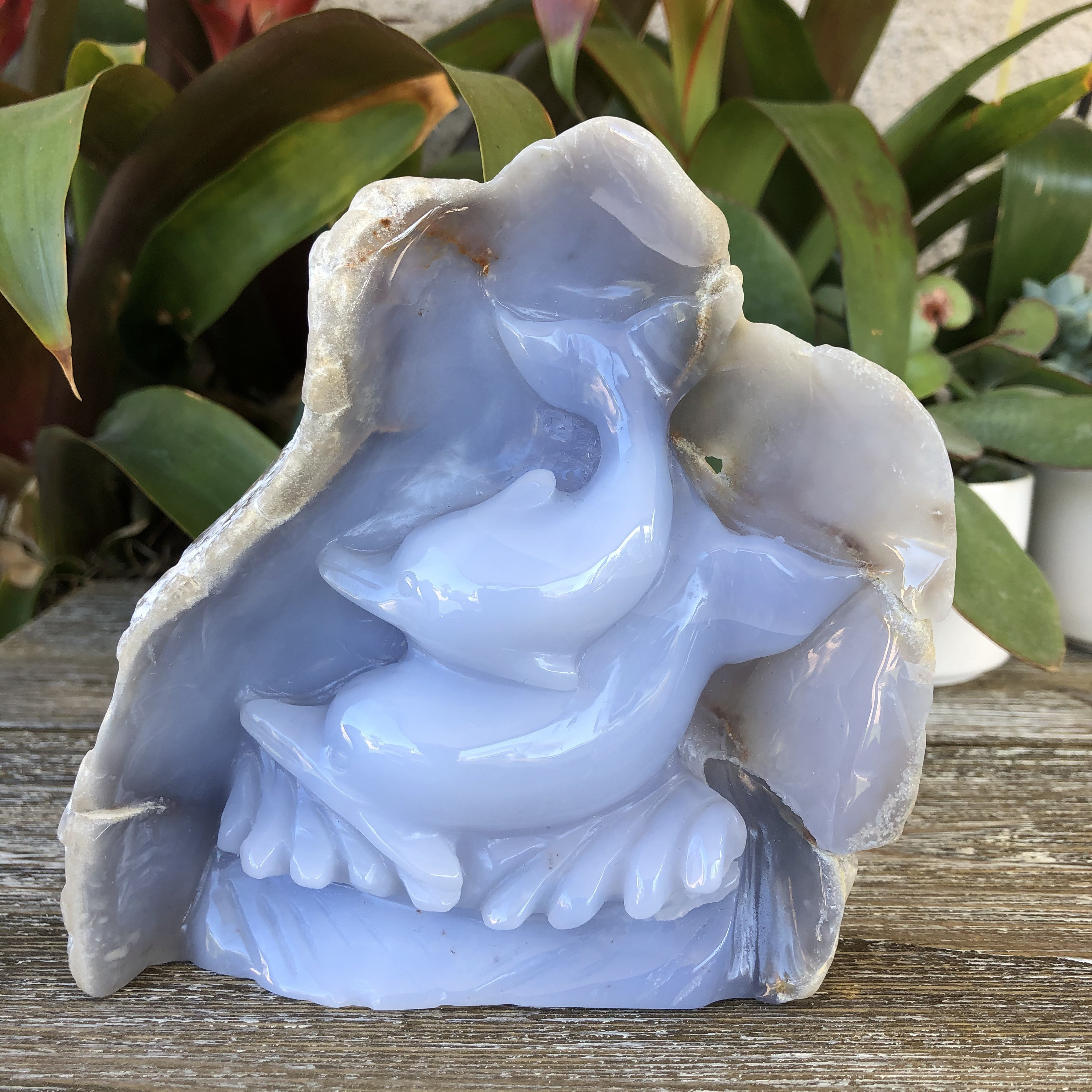 Blue Chalcedony Dolphin Carving - Healing Crystals and Stones