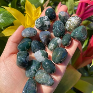 5 or 10 Moss Agate Tumbled Stones (~0.7&quot;) - Moss Agate - Healing Crystals and Stones - Heart Chakra