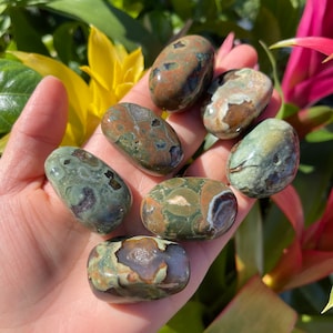 Rhyolite Tumbled Stones( 1.2&quot; - 1.4&quot;) - Rainforest Jasper - Rhyolite - Healing Crystal and stone