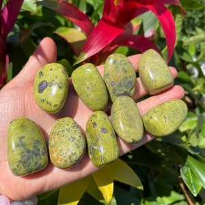 Serpentine tumble stones - Serpentine & stichtite - Healing Crystals and Stones - All Chakras