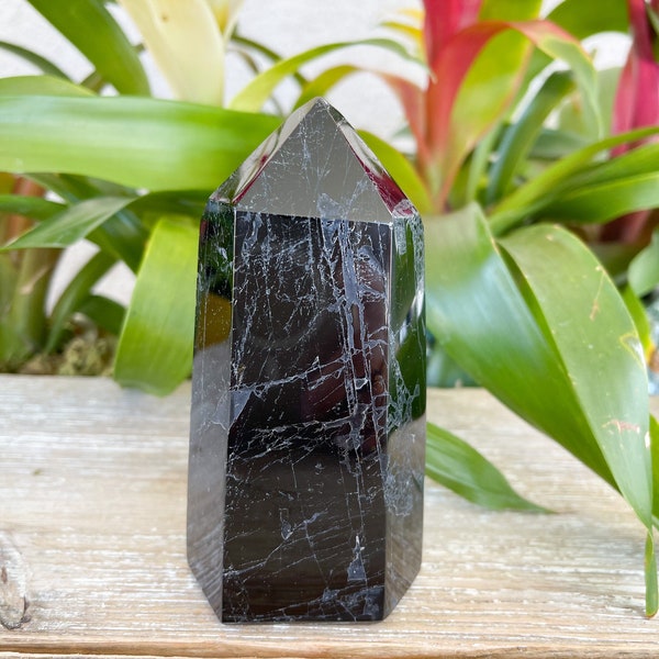 Black Tourmaline Point - Black Tourmaline - Healing Crystals and Stones - Root Chakra