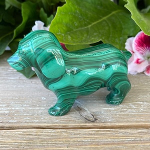 Malachite Dog(10 oz) - Malachite Animal Carving - Healing Crystals and Stones - Heart Chakra