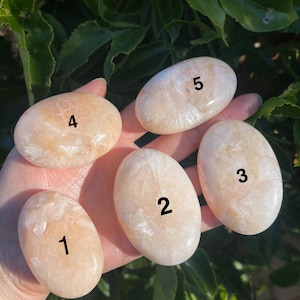 May include: Five oval-shaped, peach-colored stones with a polished finish. Each stone is numbered from one to five. The stones are held in a hand against a backdrop of green foliage. The stones are smooth and have a subtle, natural pattern.