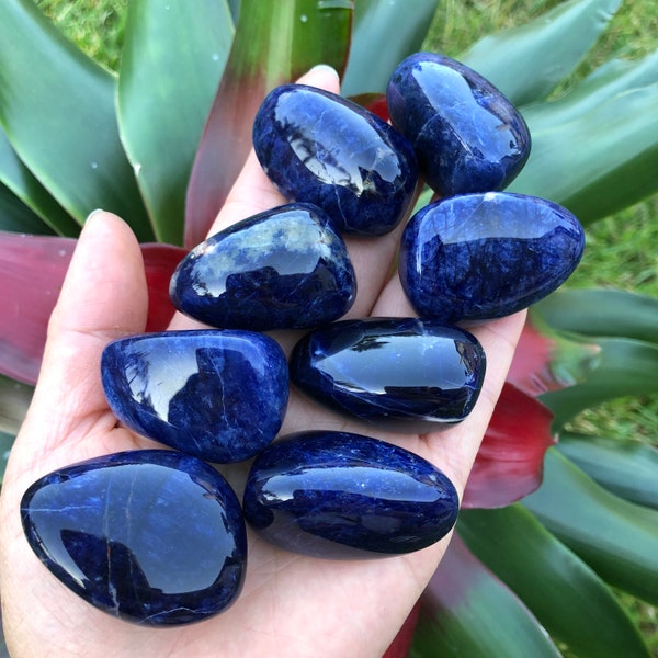 Sodalite Tumbled Stones (~1” - 1.4”) - High Quality Sodalite - Healing Crystals and Stones - Throat Chakra