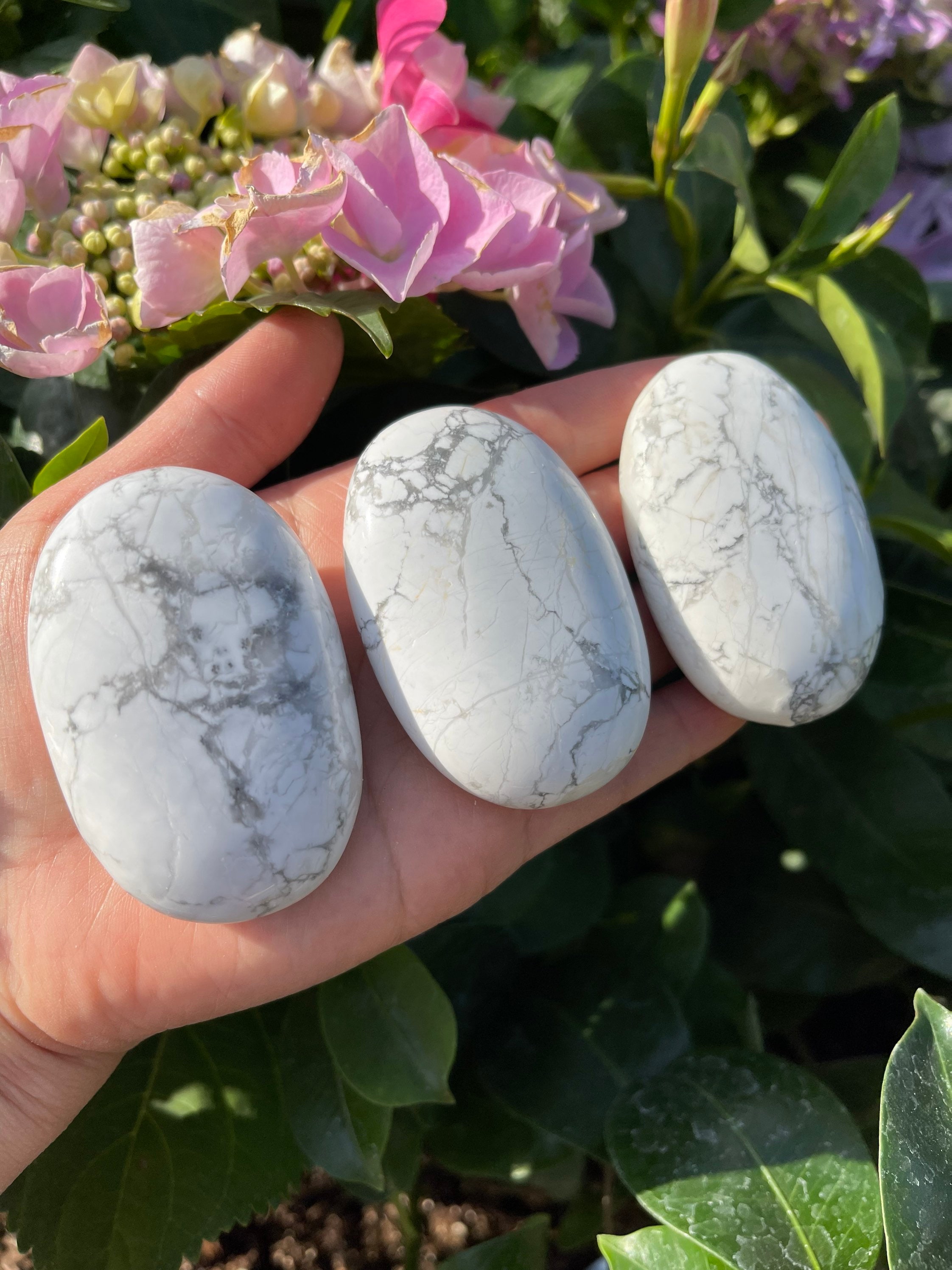 White Howlite Palm Stone (~2.2