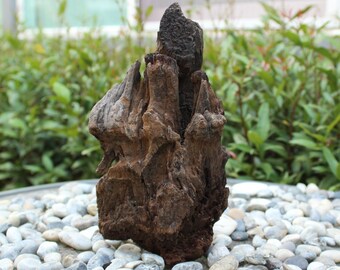 aquarium driftwood etsy