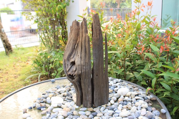 Boiled Aquarium Decoration Wood Driftwood Tree Plant Stump Etsy
