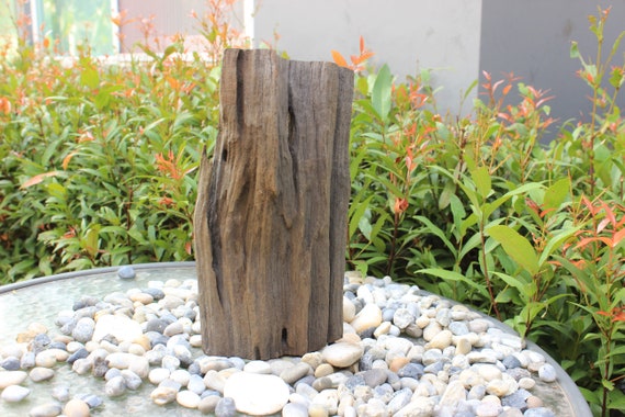 Boiled Aquarium Decoration Wood Driftwood Tree Plant Stump Etsy