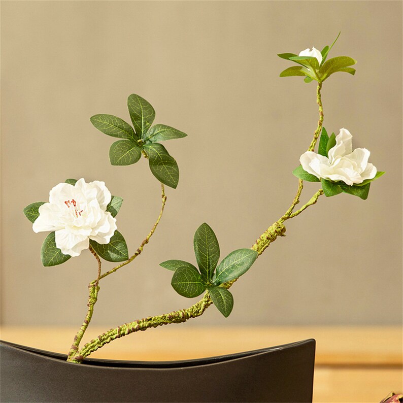 Ceramic Ikebana Vase in Round Shapehydroponic Vasehandmade Etsy