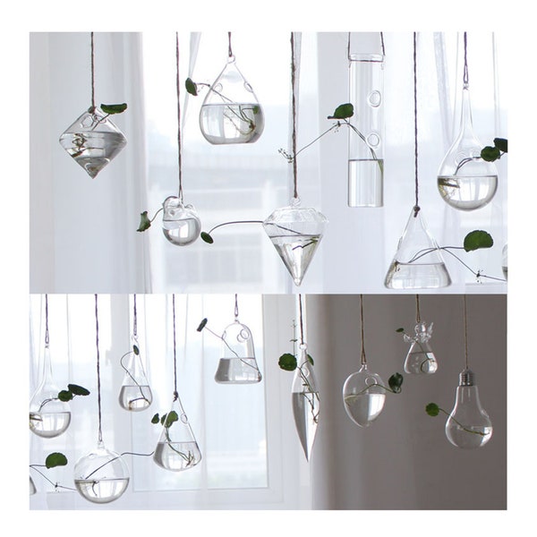 Hanging Glass Vase Etsy
