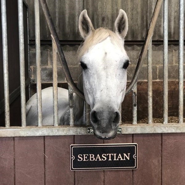 Personalised Stable Name Plaques, Horses name plaque, horse name signs, Horses name plates, Stable Door Sign,