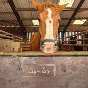 Horses name plaque, horse name signs, Horses name plates, Stable Door Sign, Personalised Stable Name Plaques, Stable sign, equestrian gift