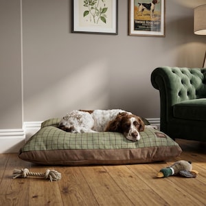 May include: A rectangular dog bed featuring a green and black plaid fabric top with a solid brown base. A white and brown spaniel dog is lying on the bed. A beige rope toy and a plush mallard duck toy are placed on the wooden floor nearby.