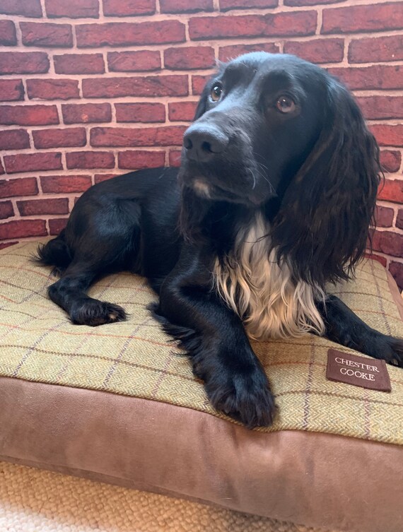 tweed dog bed large