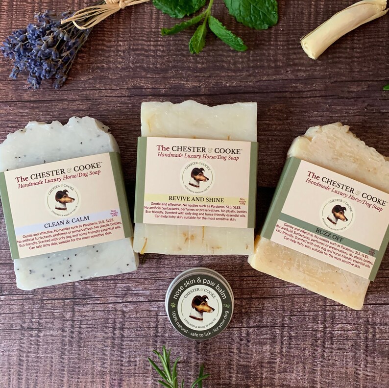 Solid Dog Shampoo Bar Set Dog Pamper Set Dog Owners Gift Set Etsy