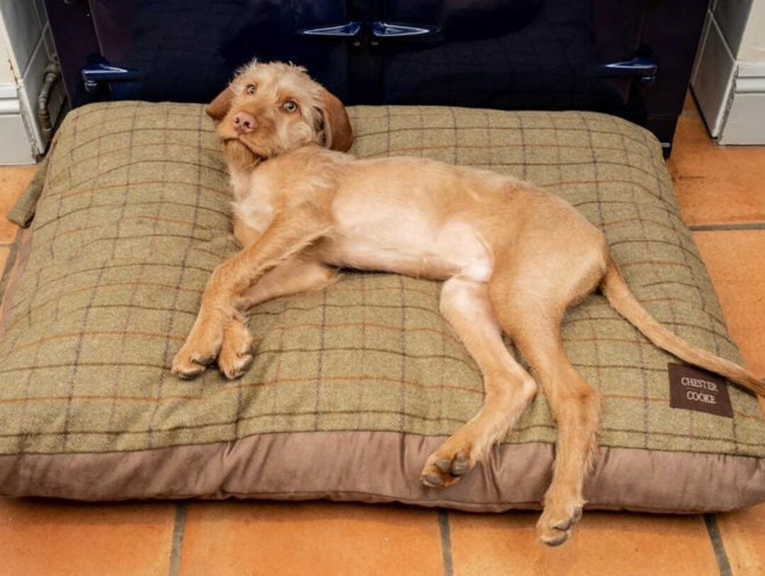 Large Dog Bed Tweed Dog Bed Luxury Dog Cushion Dog Bed Etsy UK