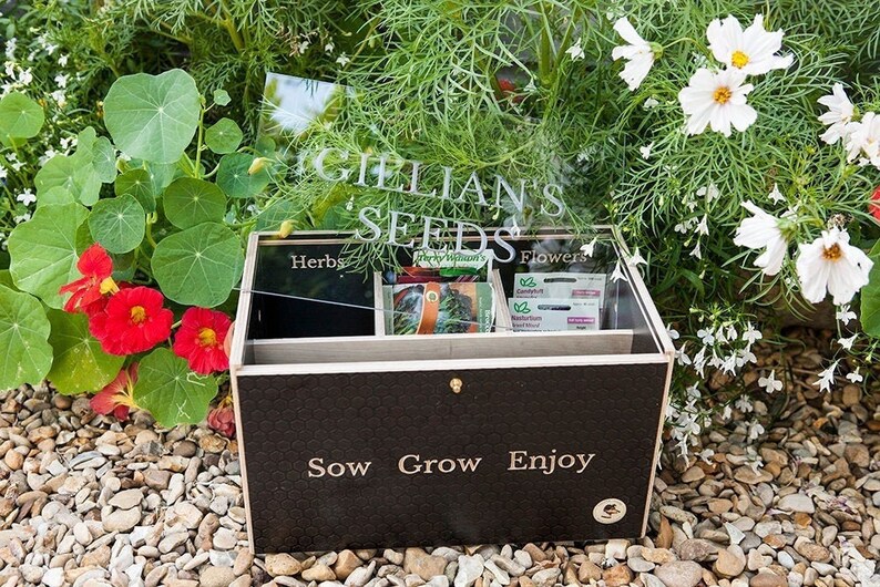Wooden Seed Box Seed Packet Storage Box Seed Organiser Seed Etsy UK