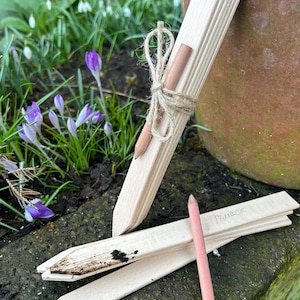 May include: A collection of unfinished wooden plant labels tied with twine, with a pencil. One label has the word "PRIMROSE" written on it. The labels are on a stone surface with purple crocus flowers and greenery in the background.