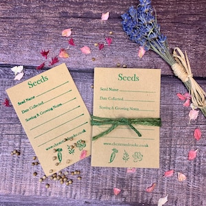 Kraft Garden Seed Envelopes: Harvesting & Storage, Set of 12