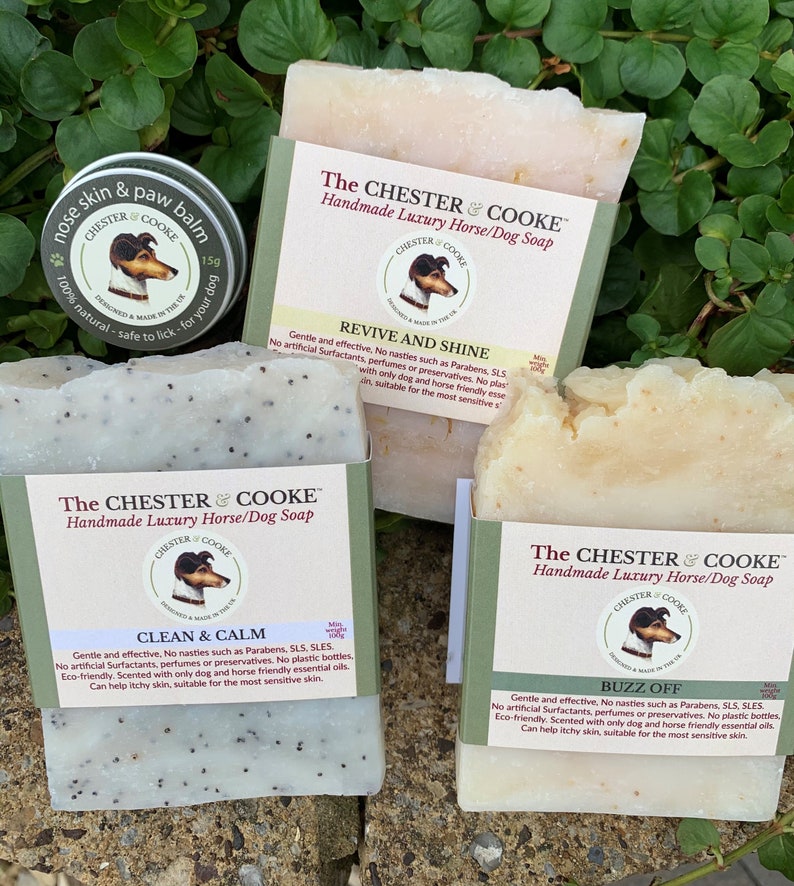 Solid Dog Shampoo Bar Set Dog Pamper Set Dog Owners Gift Set Etsy