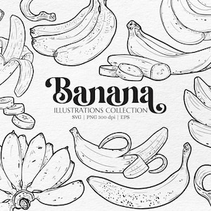 Bananenlinie gezeichnet SVG | Clipart für T-shirts, Aufkleber, Produktverpackungen, Wanddekor, Lernmittel, Line Art Bananendruck PNG