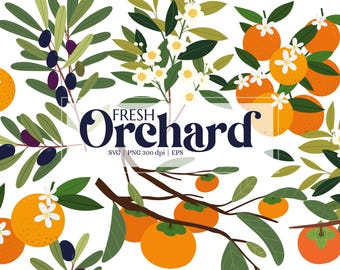 Obstgarten Obst Clipart SVG - Orange, Olive & Kaki PNG für Kunsthandwerk und Dekor