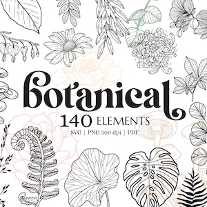 Botanische SVG-bundel, handgetekende bloemen, bloemen bladeren clipart, fijne lijntekeningen, botanische takken & bladeren PNG