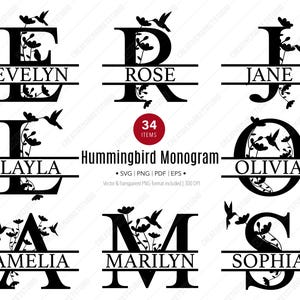 Split-Monogramm Kolibri Bundle, SVG, Blumentext Clipart, Buchstabe Grafik, Alphabet Bundle, Name Initial, Familienname, kommerzielle Nutzung