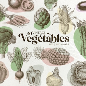 Paquete de imágenes prediseñadas de verduras vintage para etiquetas, embalajes, arte mural, cocina rústica, decoración del hogar, dibujos a mano, granjas, tarjetas de recetas SVG
